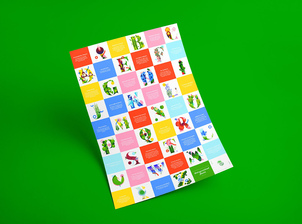 Lorena以首字母从A-Z的植物为题材,设计的视觉海报。