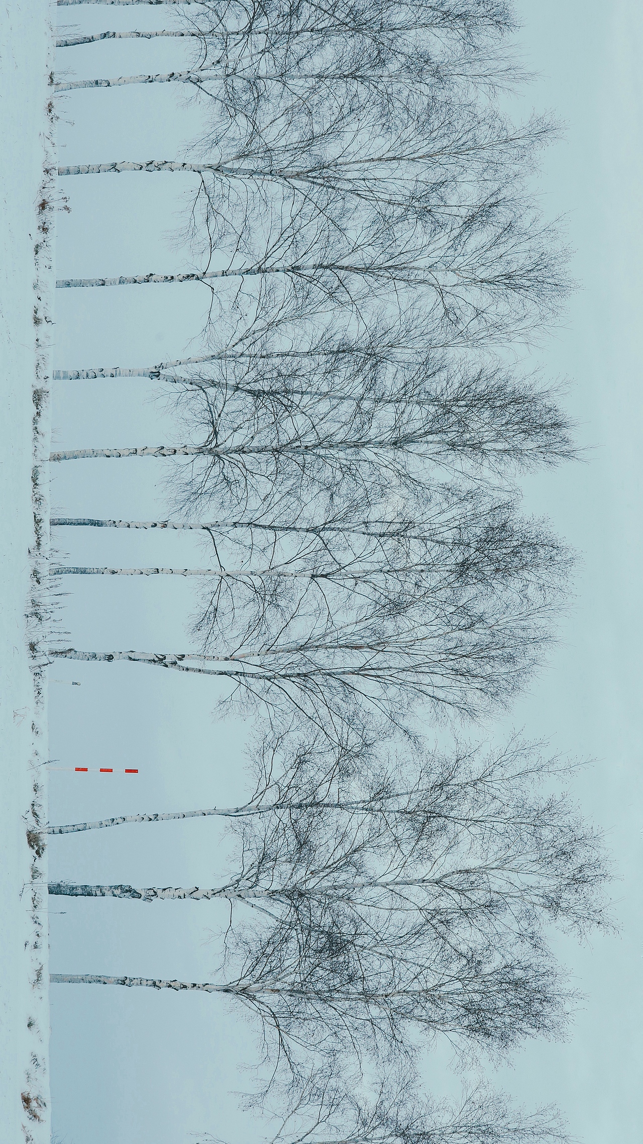 北海道小樽，出发，只为旧路还家  