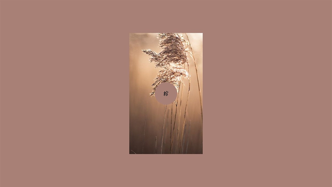 国资珀妮悦日化包装设计-|-国货战略品牌重定位