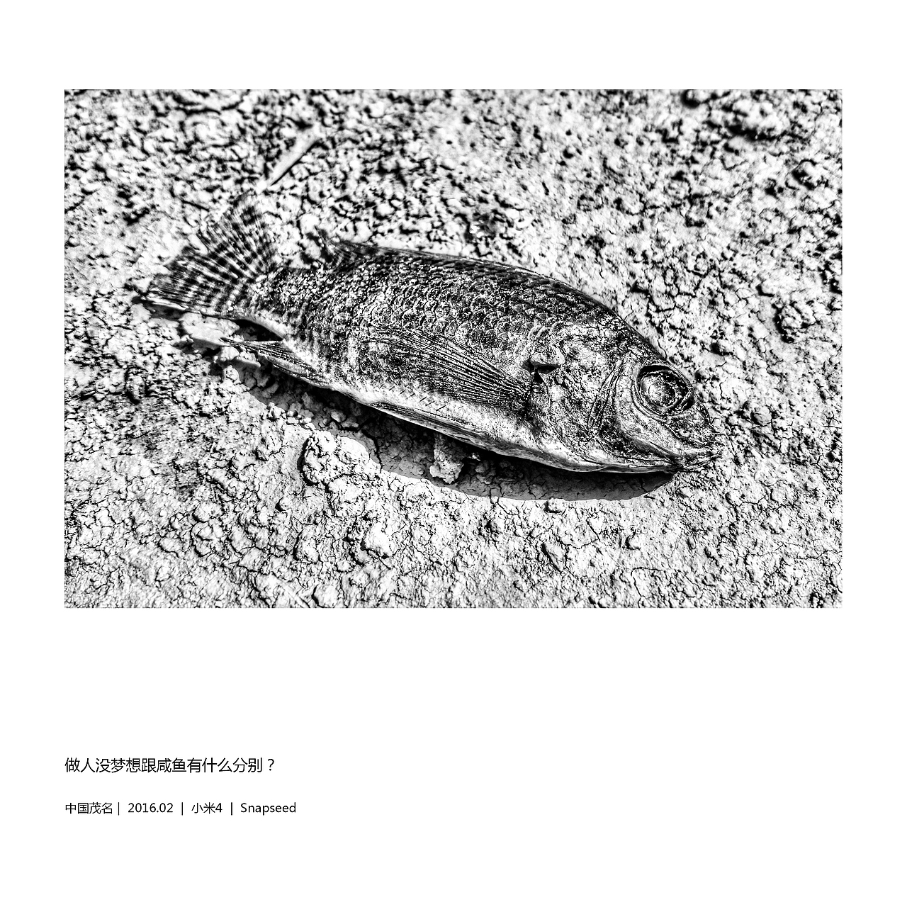 2017年手机摄影合集（图ZMTAxMzAxMDI4） - 人文/纪实摄影 - 站酷设计师小电大白原创素材 - 站酷ZCOOL