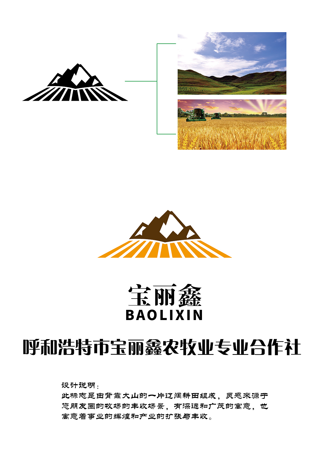 标志设计（图ZMjQ5MzI2ODQ=） - 品牌 - 站酷设计师雪域白莲花原创素材 - 站酷ZCOOL