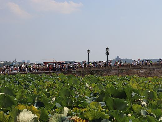 杭州之行（個(gè)人主頁(yè)-ZNTU2MTQ1MDg=） - 風(fēng)光攝影 - 站酷設(shè)計(jì)師柚子潔原創(chuàng)素材 - 站酷ZCOOL