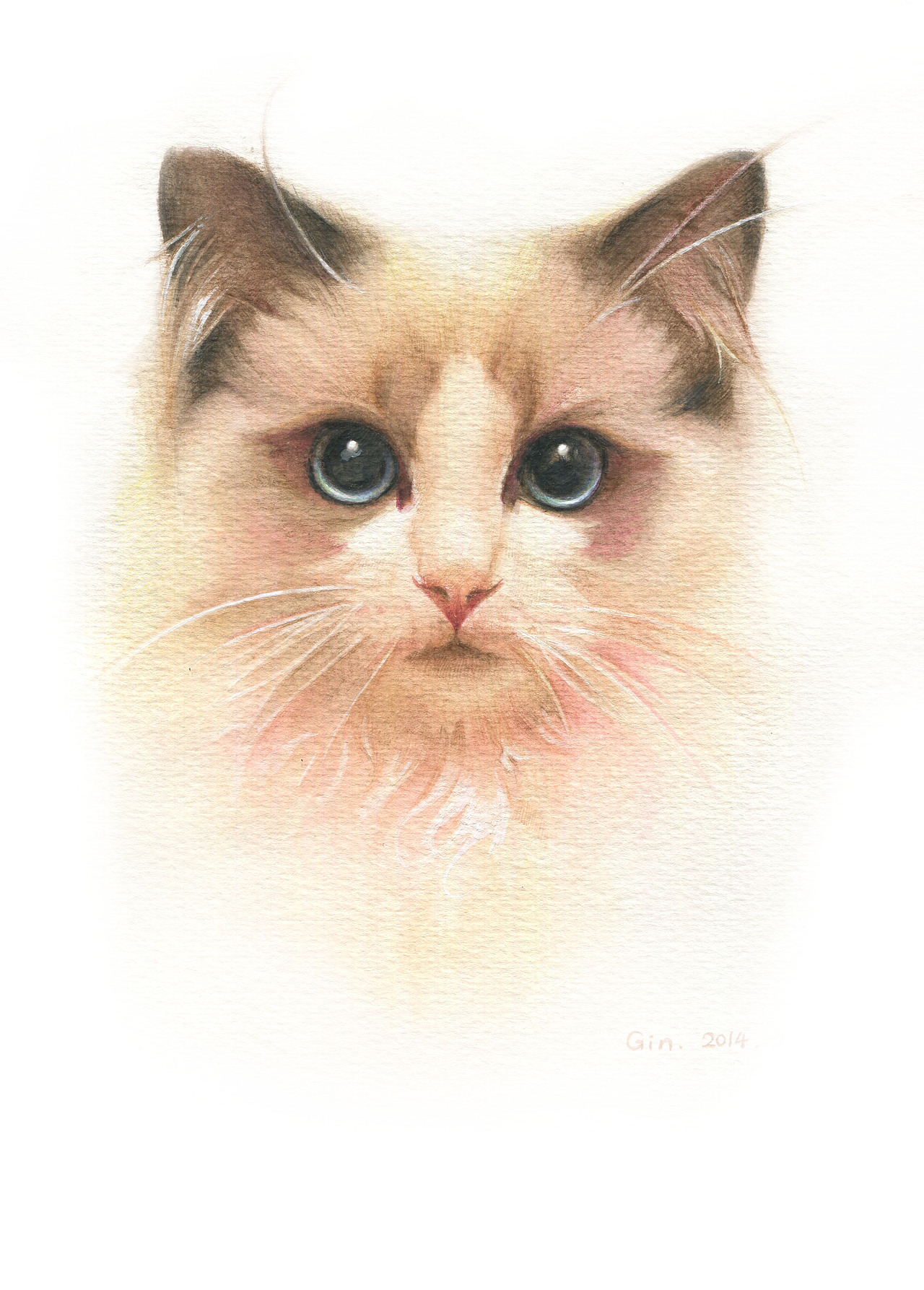 彩铅萌宠网络班老师作品欣赏