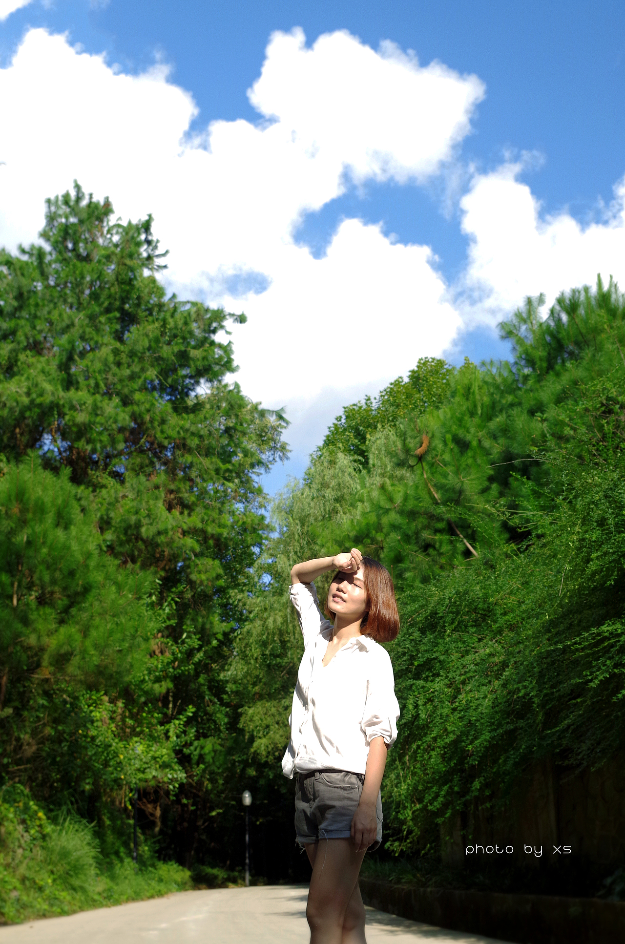 〈洒进阳光里〉