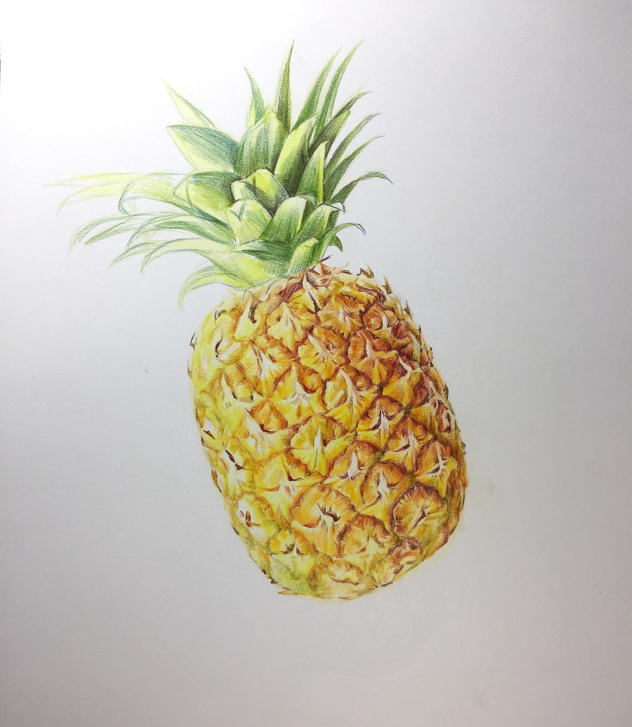 彩铅菠萝（图ZMTI3MjQ3MjI0） - 绘画 - 站酷设计师OK小画原创素材 - 站酷ZCOOL