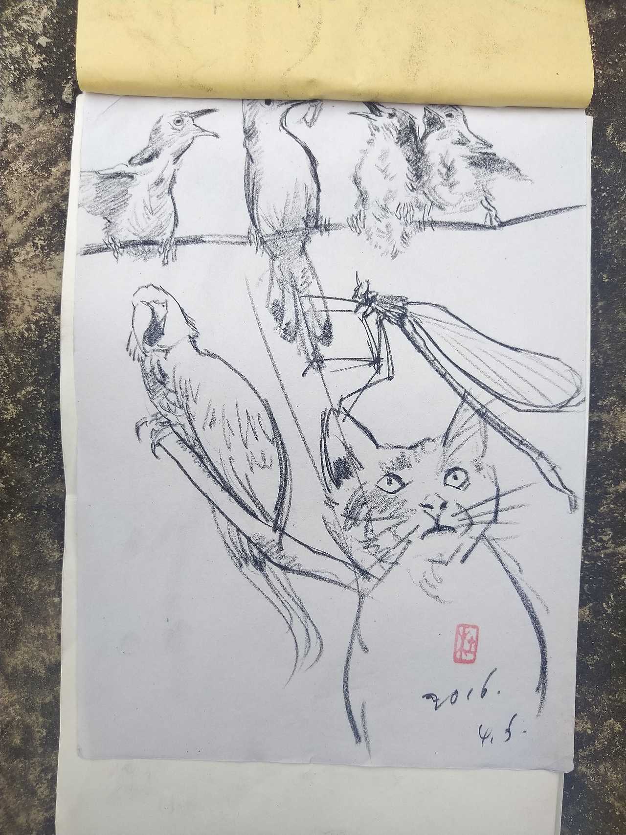 阿杜速写阿杜手绘速写肖像画大师速写艺术（图ZMTk5OTYzODM2） - 绘画 - 站酷设计师阿杜手绘速写原创素材 - 站酷ZCOOL