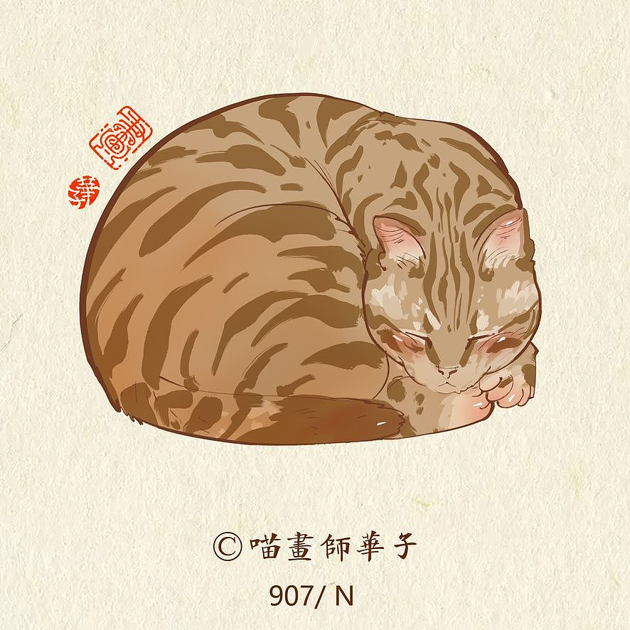 画猫的第三季250天,937天的画猫纪录