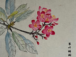 小区里的花