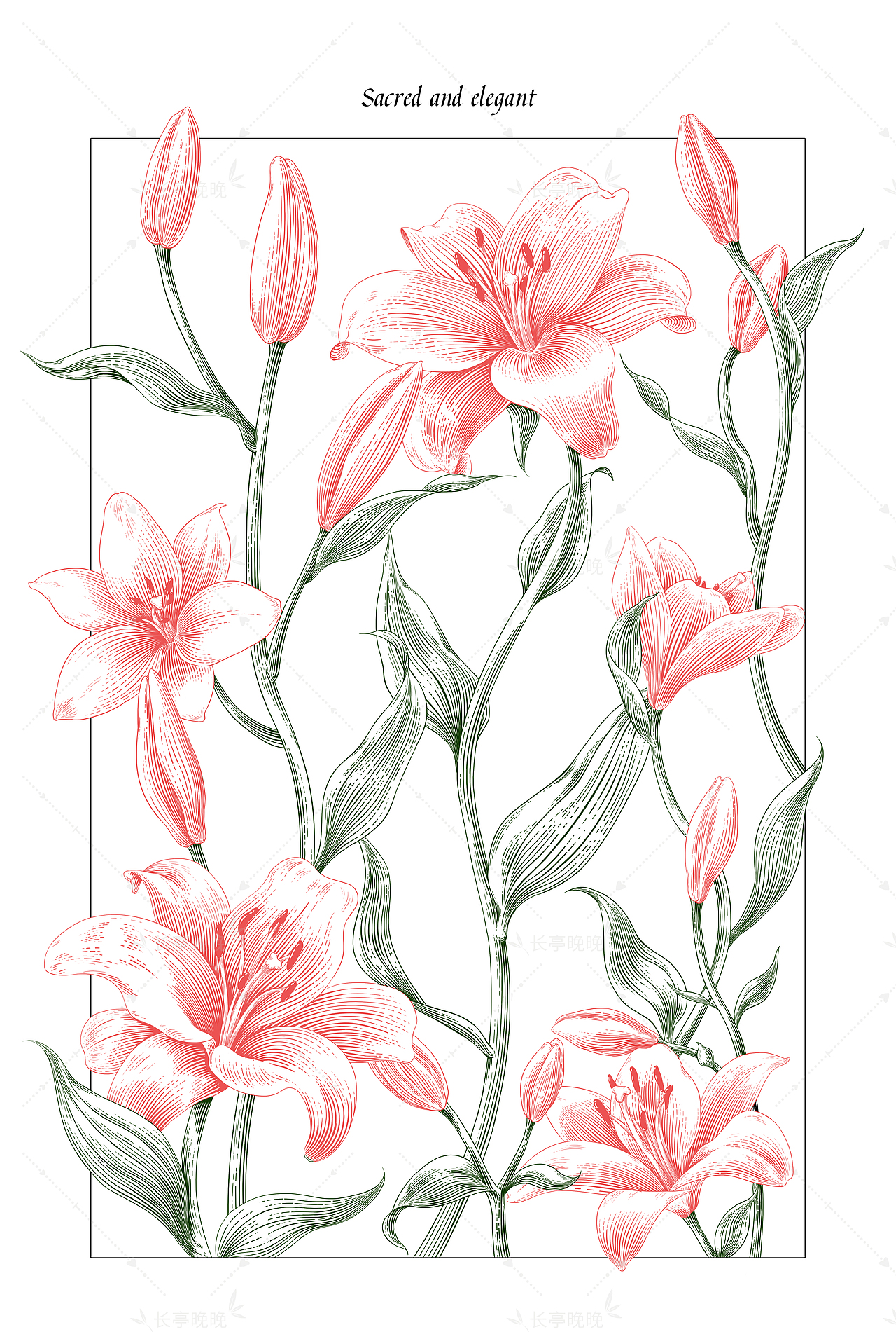 百合花/虾——商业插画版画风（图ZMzY4MTI5NjMy） - 商业插画 - 站酷设计师长亭晚晚原创素材 - 站酷ZCOOL