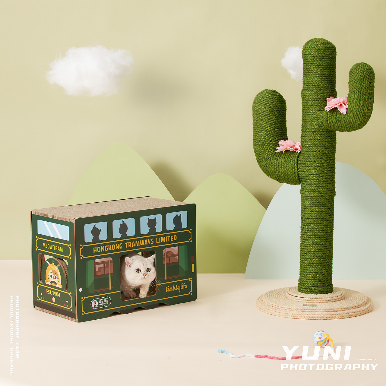 天猫.猫享自营 ✖ YuNi  宠物频道合集