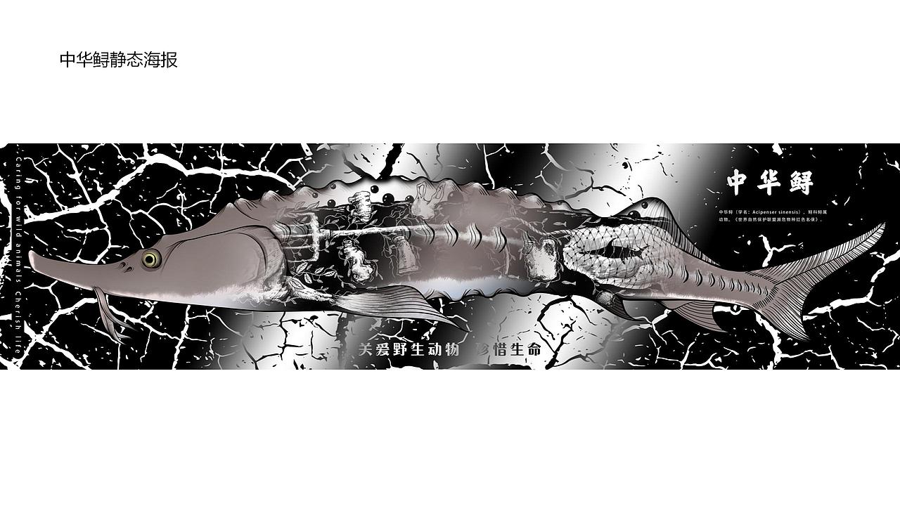 保护野生动物动态公益海报实验设计与探究