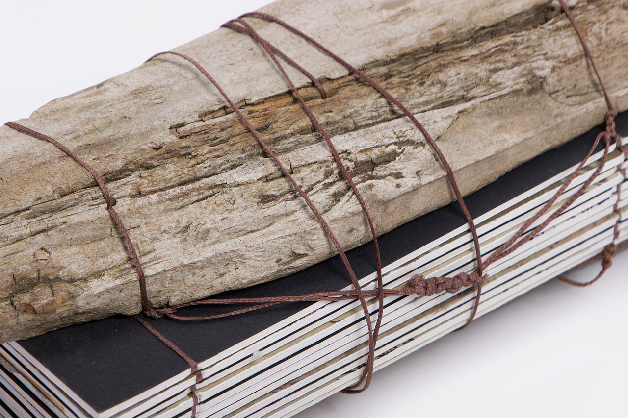 #2023 青春答卷#Tingshu