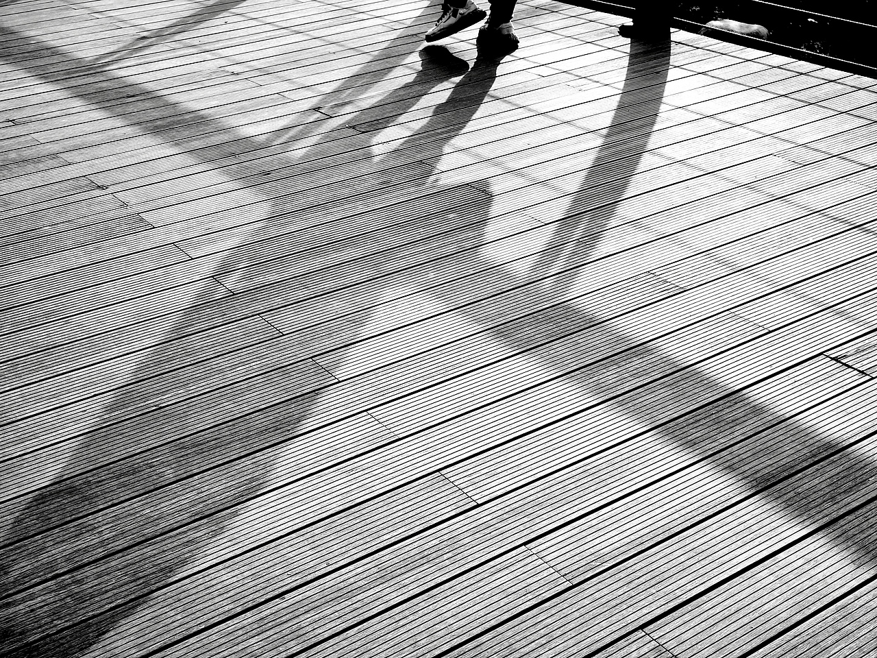 光与影的游戏—手机摄影集合