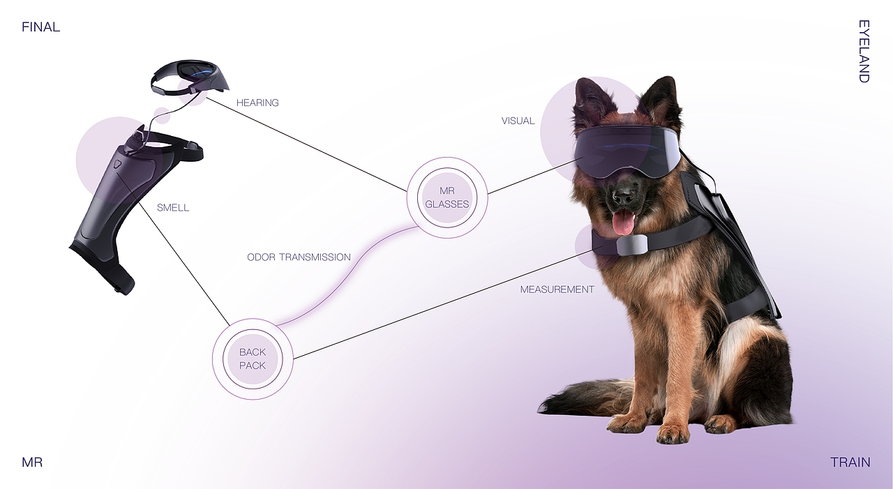 工作犬MR辅助训练设备