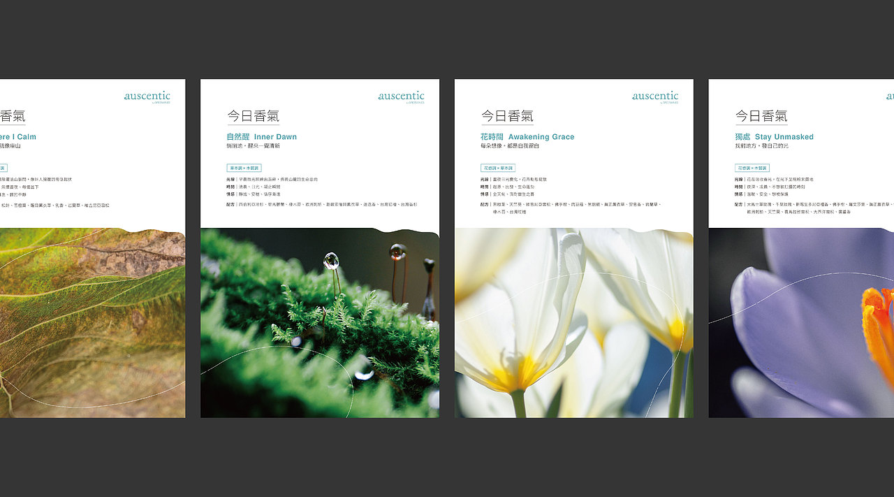 auscentic by GREENVINES 品牌上線視覺設計全案(图ZMzY2NjYzMzE2) - 品牌 - 站酷设计师吳穆昌原创素材 - 站酷ZCOOL