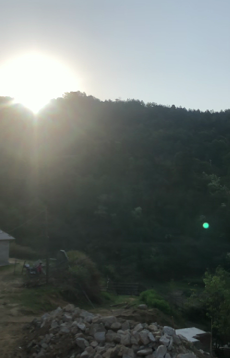 大农村早上鸟儿的交响曲