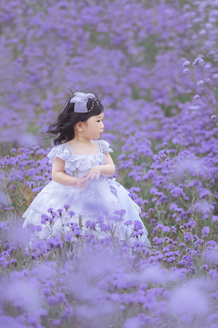 紫色的不一定是薰衣草