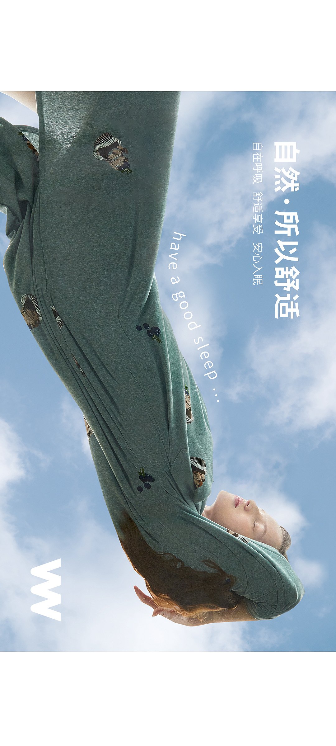 Will VISION商业案例|芬腾 FENTENG