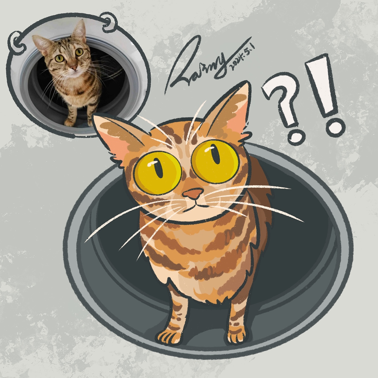 图3 粉丝投稿,钻进洗衣机里,像是穿越过来的一样