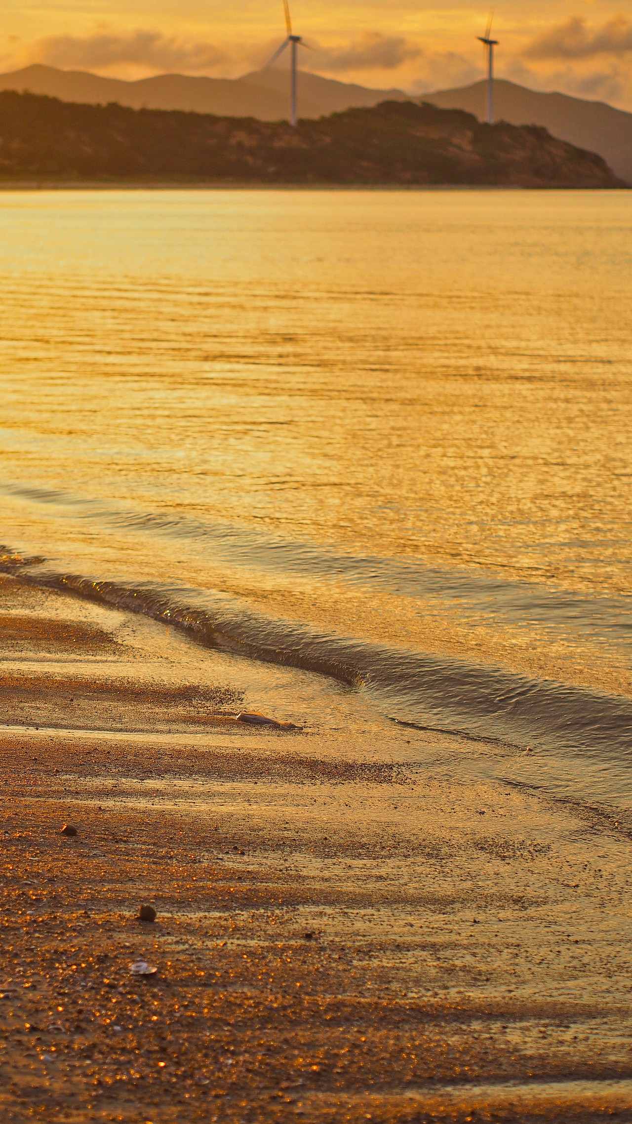 海边的人儿（图ZMzEzNTM0MDAw） - 人文/纪实摄影 - 站酷设计师星期八八八原创素材 - 站酷ZCOOL