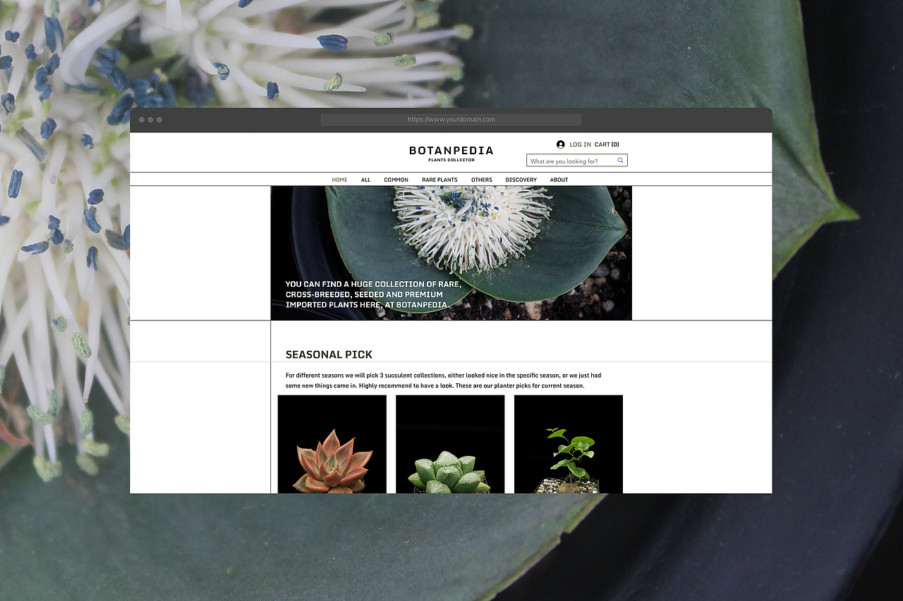 BOTANPEDIA 多肉植物专卖店 (2023)（图ZMzIwOTIyNTA4） - 品牌 - 站酷设计师ONOFF工作室原创素材 - 站酷ZCOOL