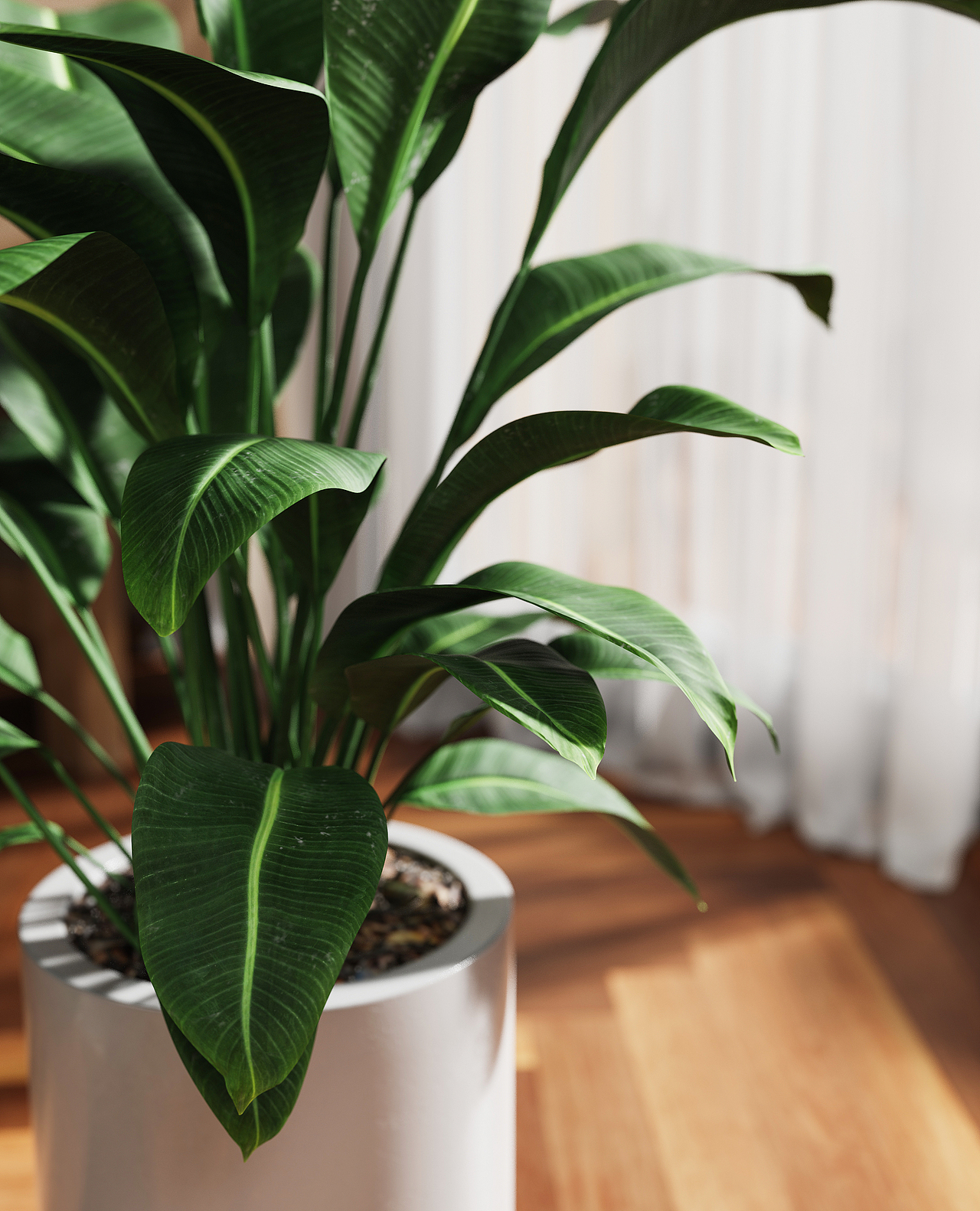 Bang&Olufsen音箱和场景渲染