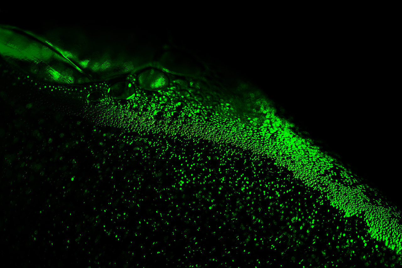 青岛啤酒/绿野探索（图ZMzI3MTkyMDI0） - 产品摄影 - 站酷设计师吃饱了饭的Men原创素材 - 站酷ZCOOL