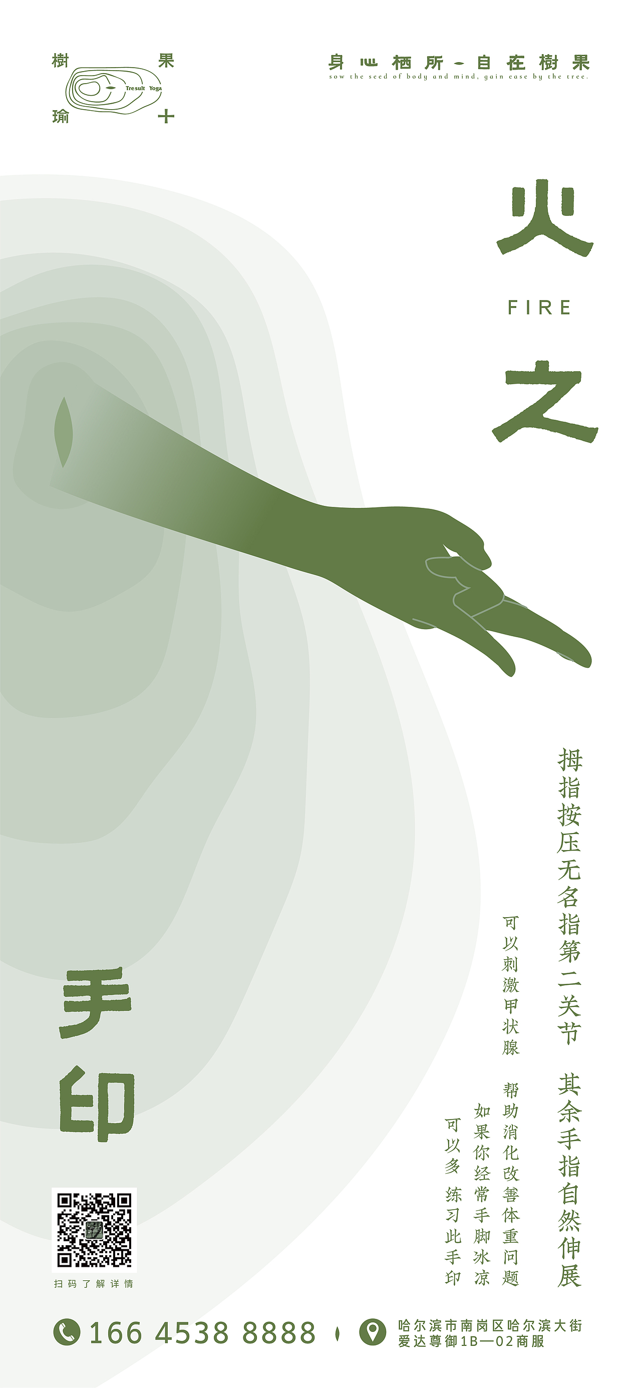 【品牌设计】树果·不止瑜伽（图ZMzA0MzMwNTEy） - 品牌 - 站酷设计师BM视觉营销原创素材 - 站酷ZCOOL