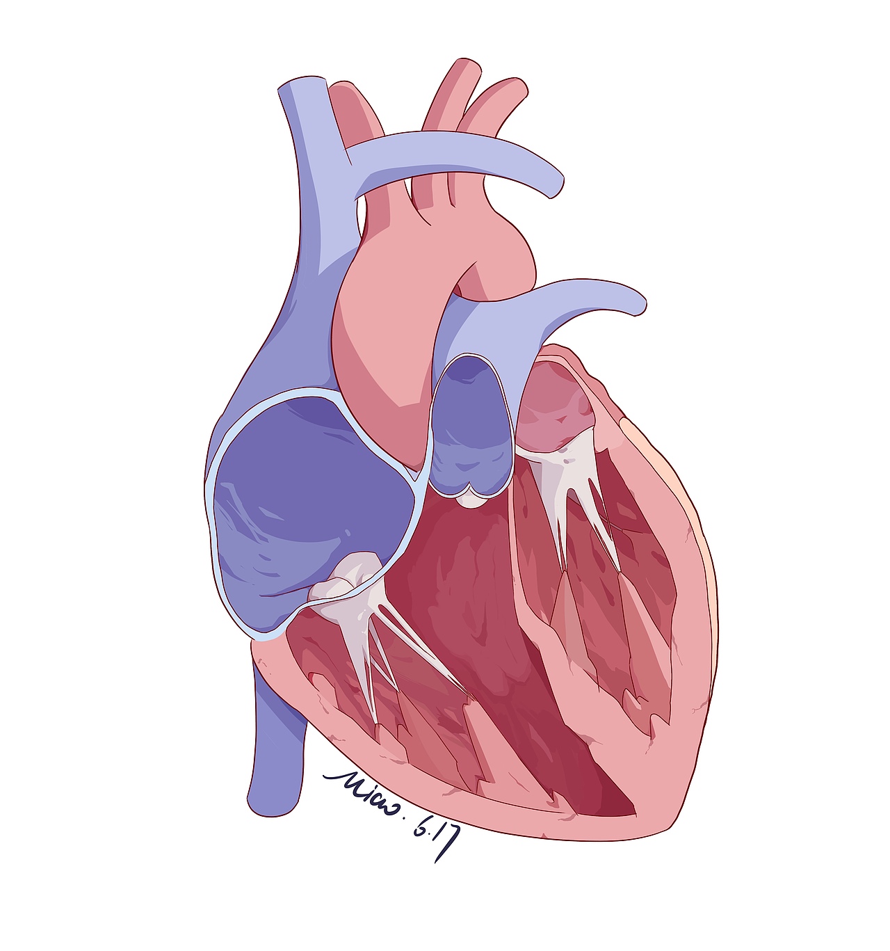 最近所画医疗插画（图ZMzEwNzM0NDg0） - 商业插画 - 站酷设计师猴猴瓜子脸么么原创素材 - 站酷ZCOOL