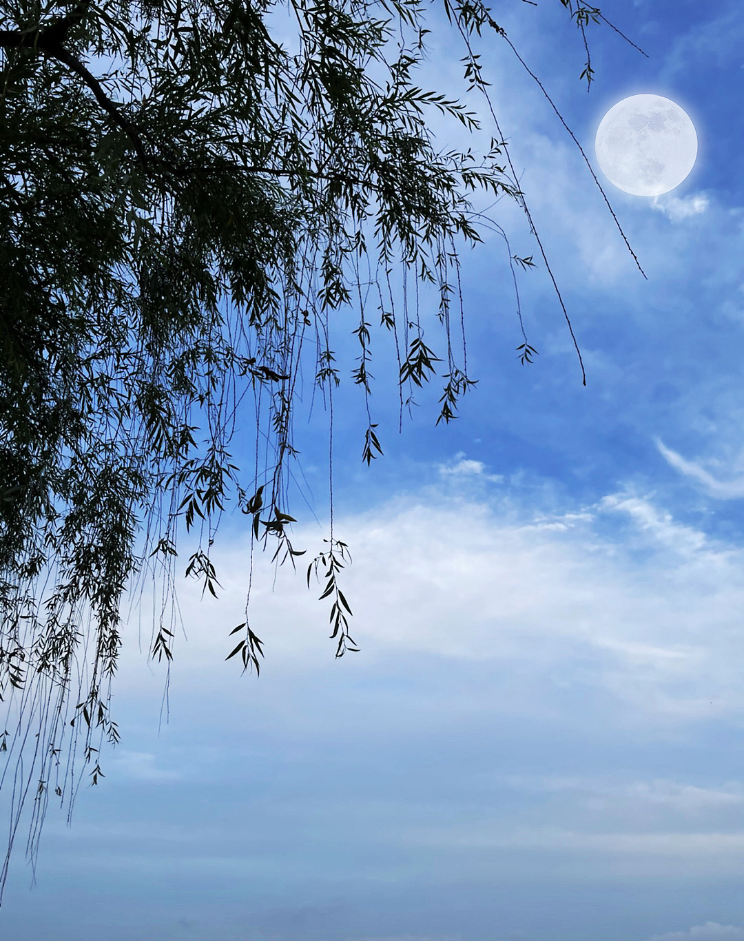 杭州【西湖】（图ZMzA0ODg3MjAw） - 风光摄影 - 站酷设计师如星君如月原创素材 - 站酷ZCOOL