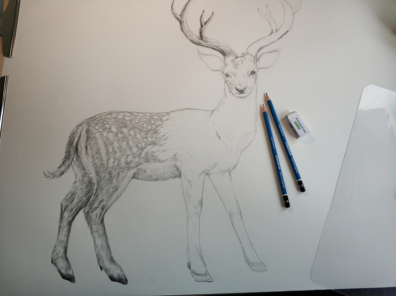 为“宫廷文化”绘制的素描过程