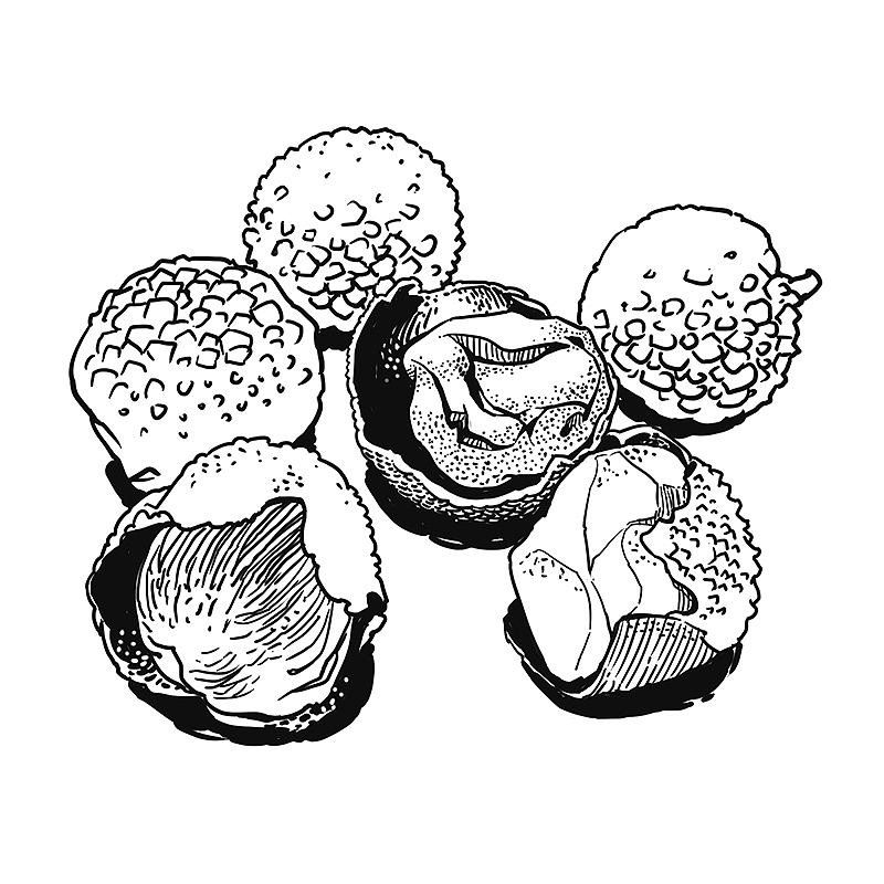 中华美食Chinese Food（图ZMzEwNzQ3NjQw） - 商业插画 - 站酷设计师xwydesign2020原创素材 - 站酷ZCOOL