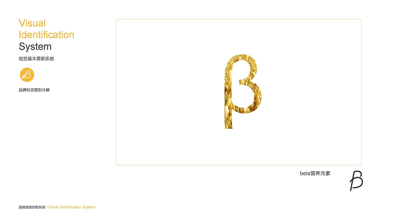 [2019][Beta倍她饮][品牌策划][已落地]