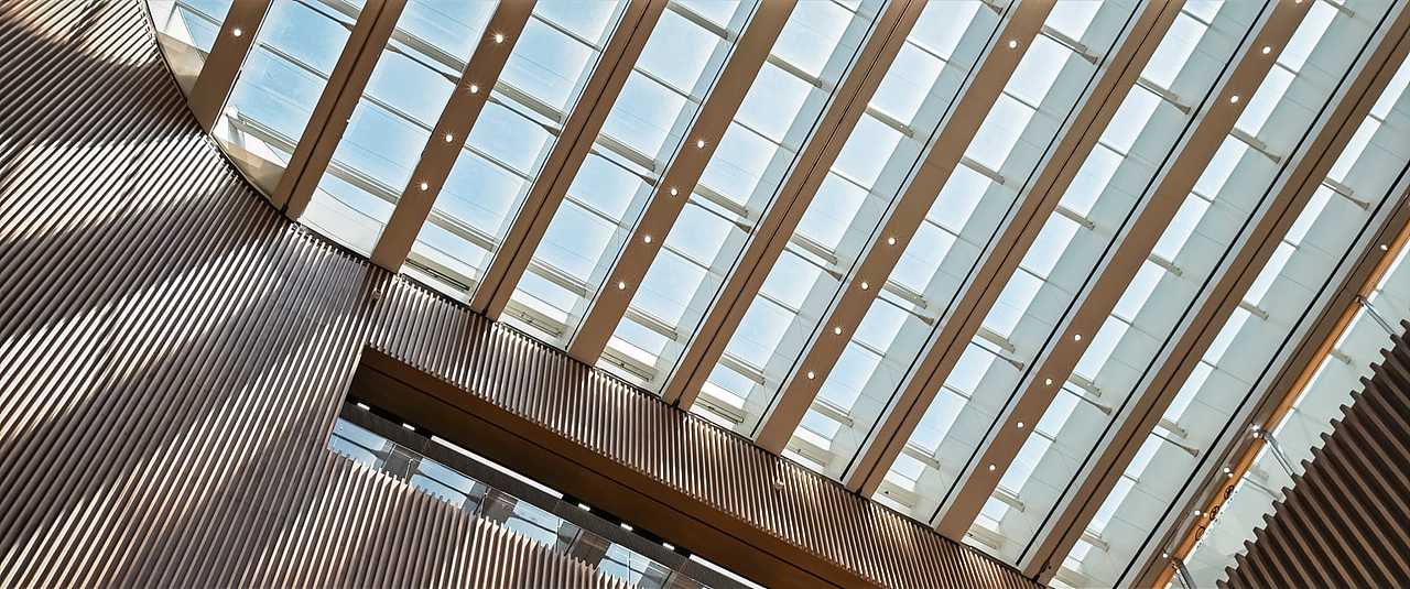 手机摄影 I 小米14Ultra I 上海图书馆东馆📚