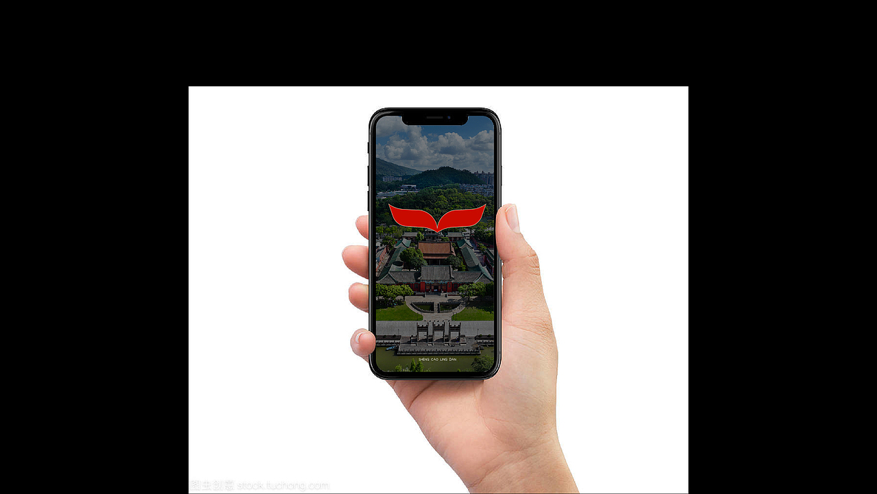 圣草灵丹-新会陈皮