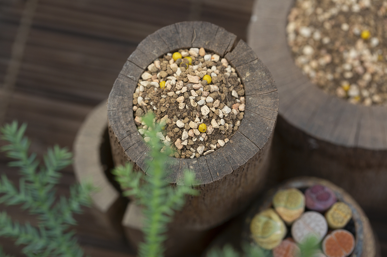 土壤植料-产品摄影（图ZMzU5OTU5OTk2） - 产品摄影 - 站酷设计师Pazza大安原创素材 - 站酷ZCOOL