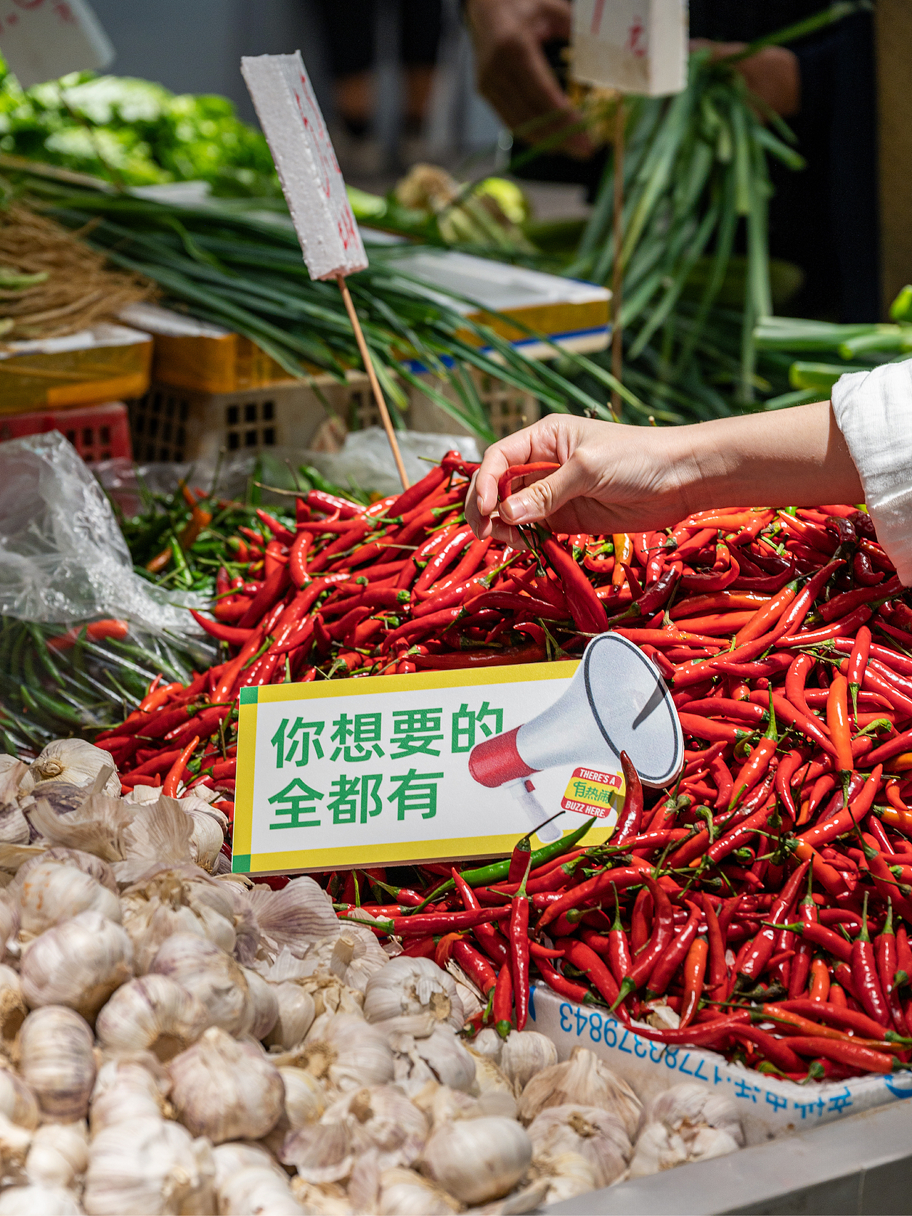 晨有市集 农贸菜市场 CHENYOU MARKET（图ZMzU0NTkzODI4） - 品牌 - 站酷设计师pigeonstudio原创素材 - 站酷ZCOOL