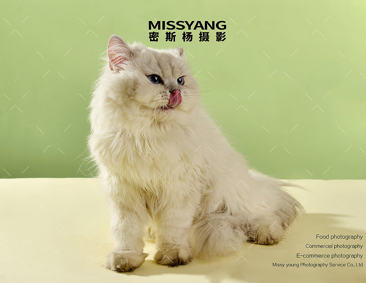 宠物食品冻干猫粮|美食摄影|电商产品拍摄×郑州密斯杨