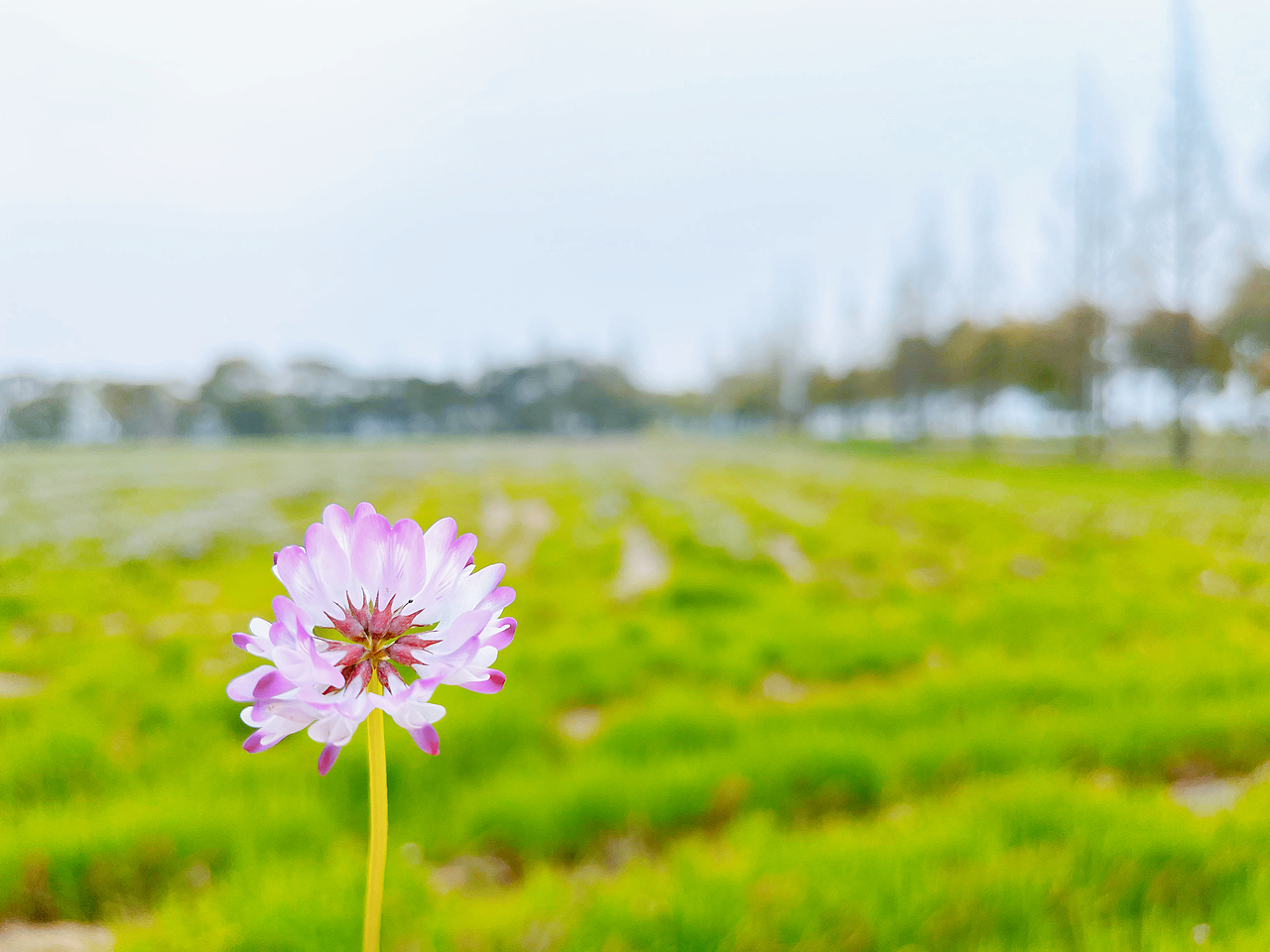 手机摄影 一片静心之地~（图ZMzM3NTk1OTg0） - 风光摄影 - 站酷设计师小小鸟不想飞原创素材 - 站酷ZCOOL