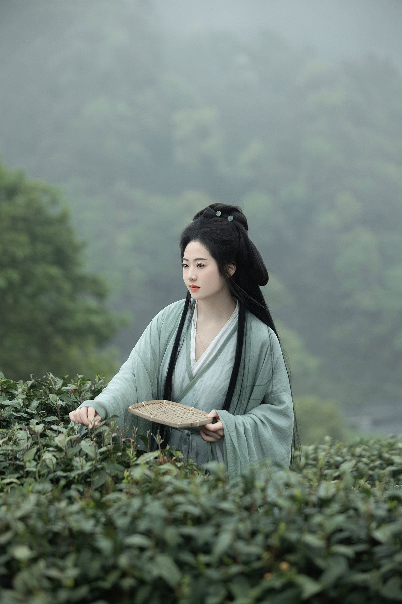 明前绿（图ZMzY5NTMzNjU2） - 人像摄影 - 站酷设计师若寒Rock原创素材 - 站酷ZCOOL