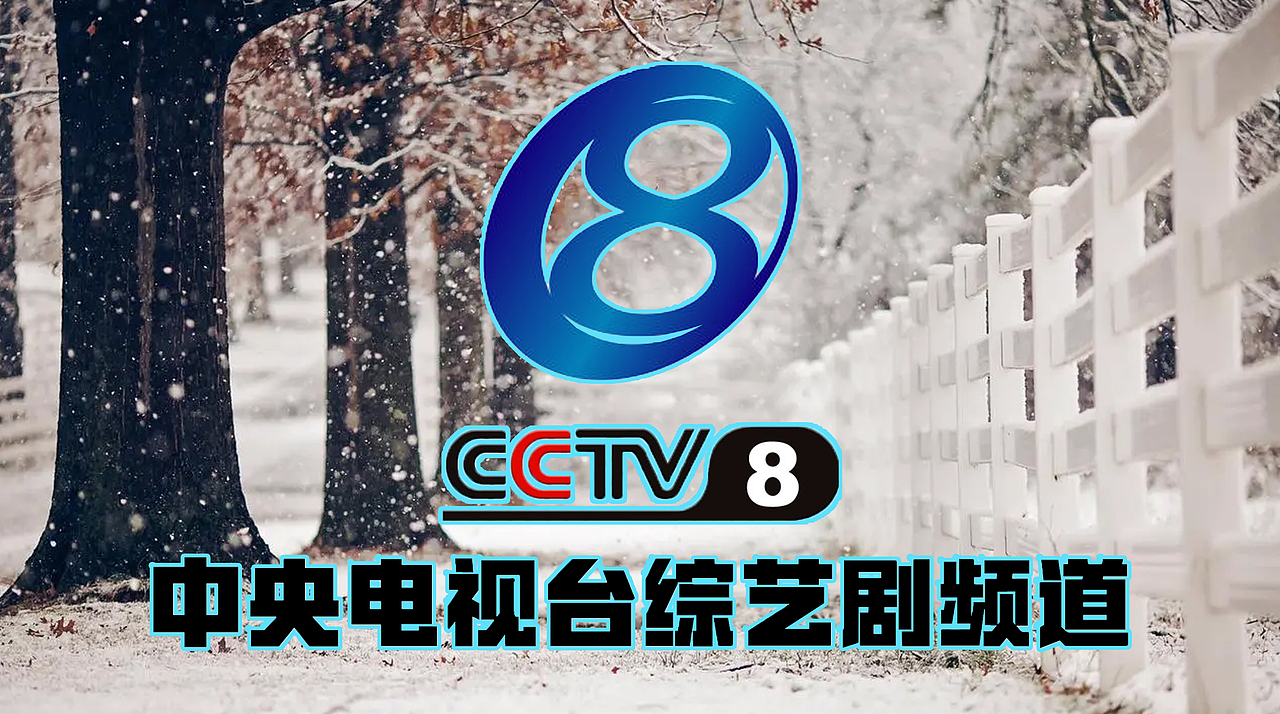 PS中央电视台综艺剧频道(大寒版)12P