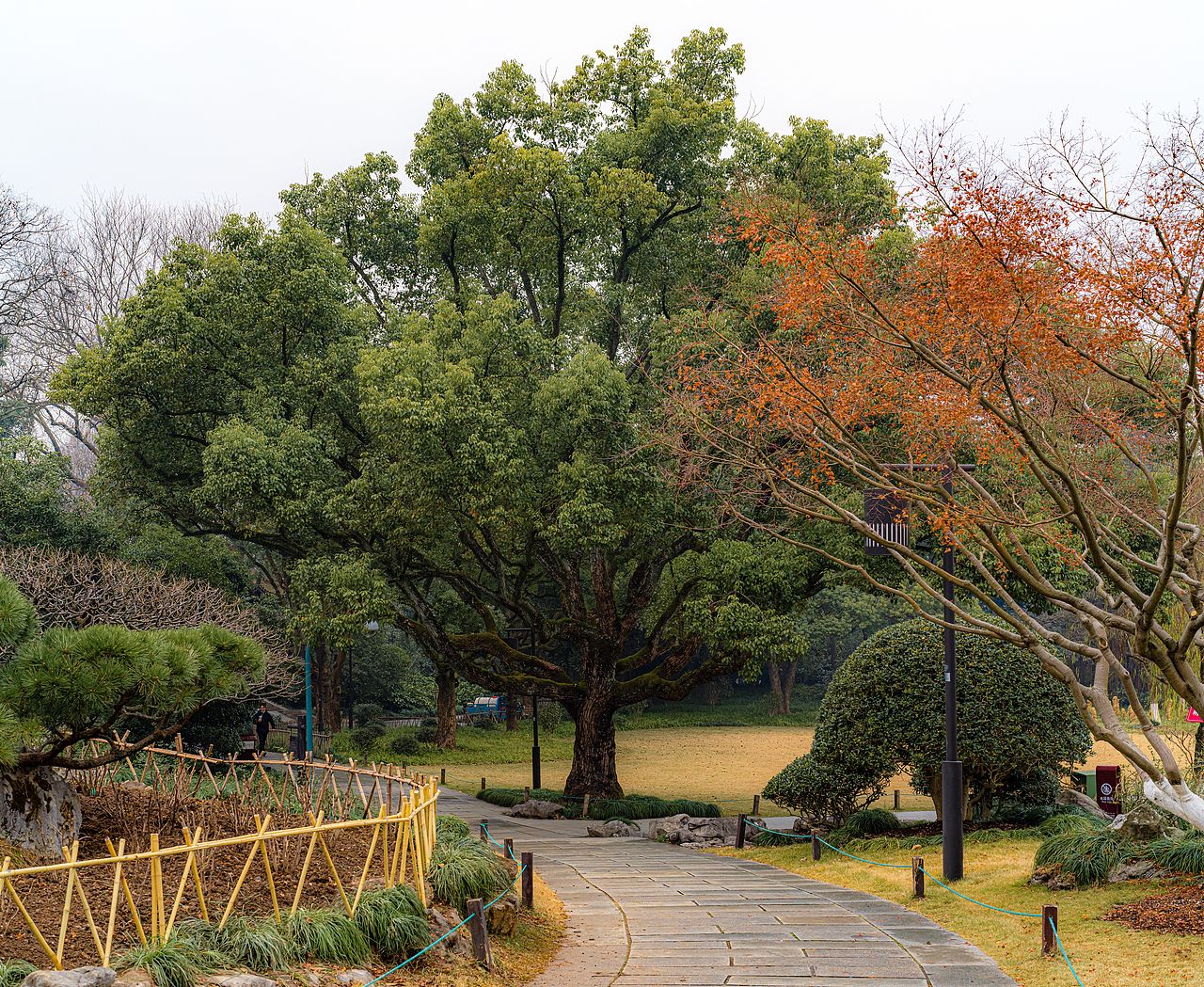 【风光摄影】元旦的西湖·浓雾篇
