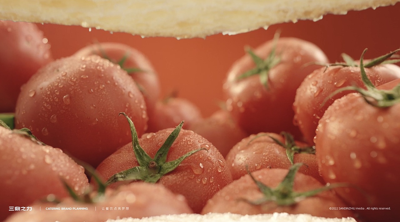 美食视频 | 三鼎之力作品混剪2022 X SANDING
