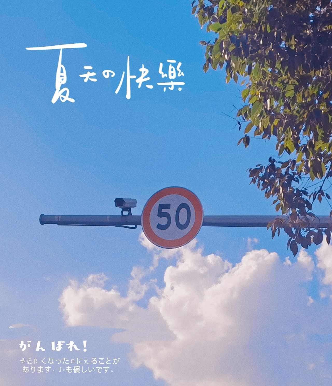 2022年手机摄影系列