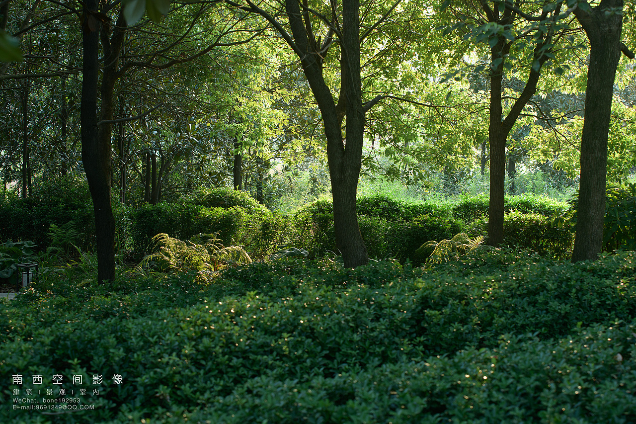 景观摄影 | 武汉城建&仁恒·茶林驿站