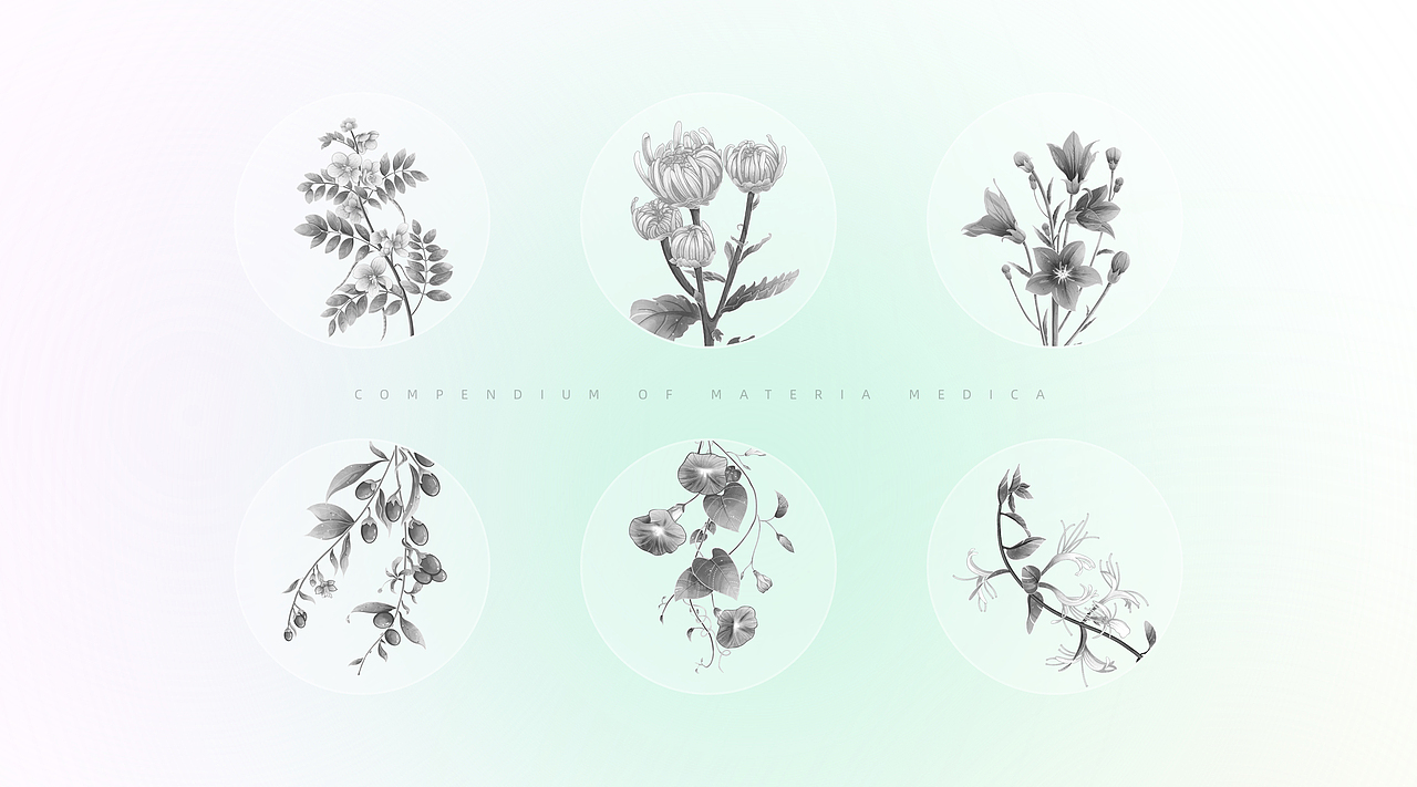 中药仙草集·壹（图ZMzY2OTQ5MTk2） - 创作习作 - 站酷设计师苒色时光原创素材 - 站酷ZCOOL