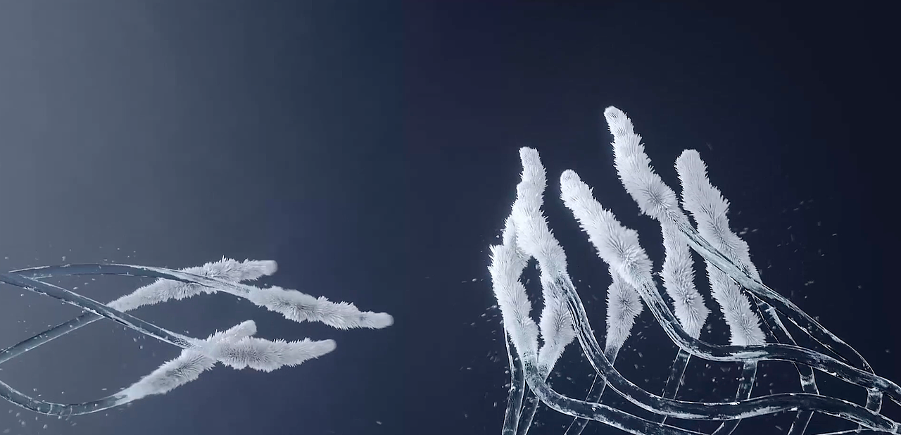 冰块布料服装凉爽降温透气生长