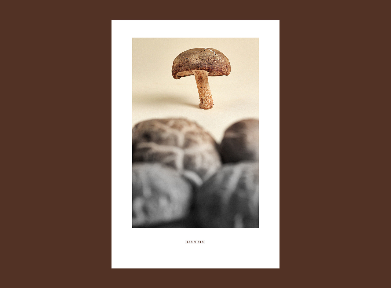 香菇在绽放美丽的瞬间