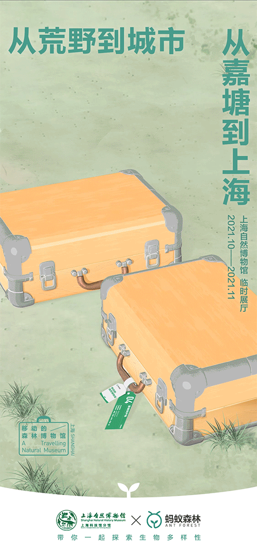 【蚂蚁森林】蚂蚁森林×上海自然博物馆联合生态海报