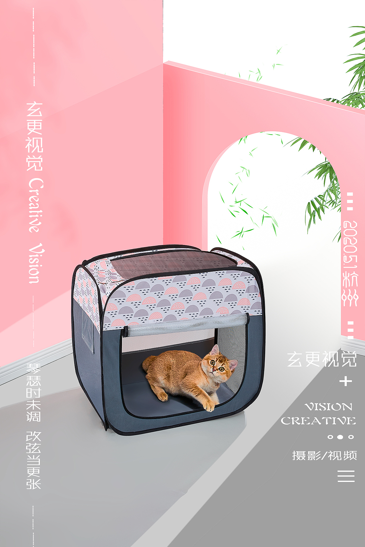 宠物用品摄影 宠物烘干机 宠物摄影 产品周边拍摄